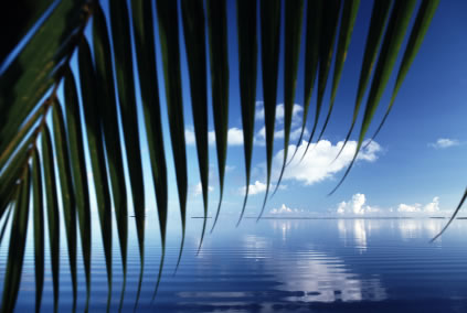 petites-annonces-floride