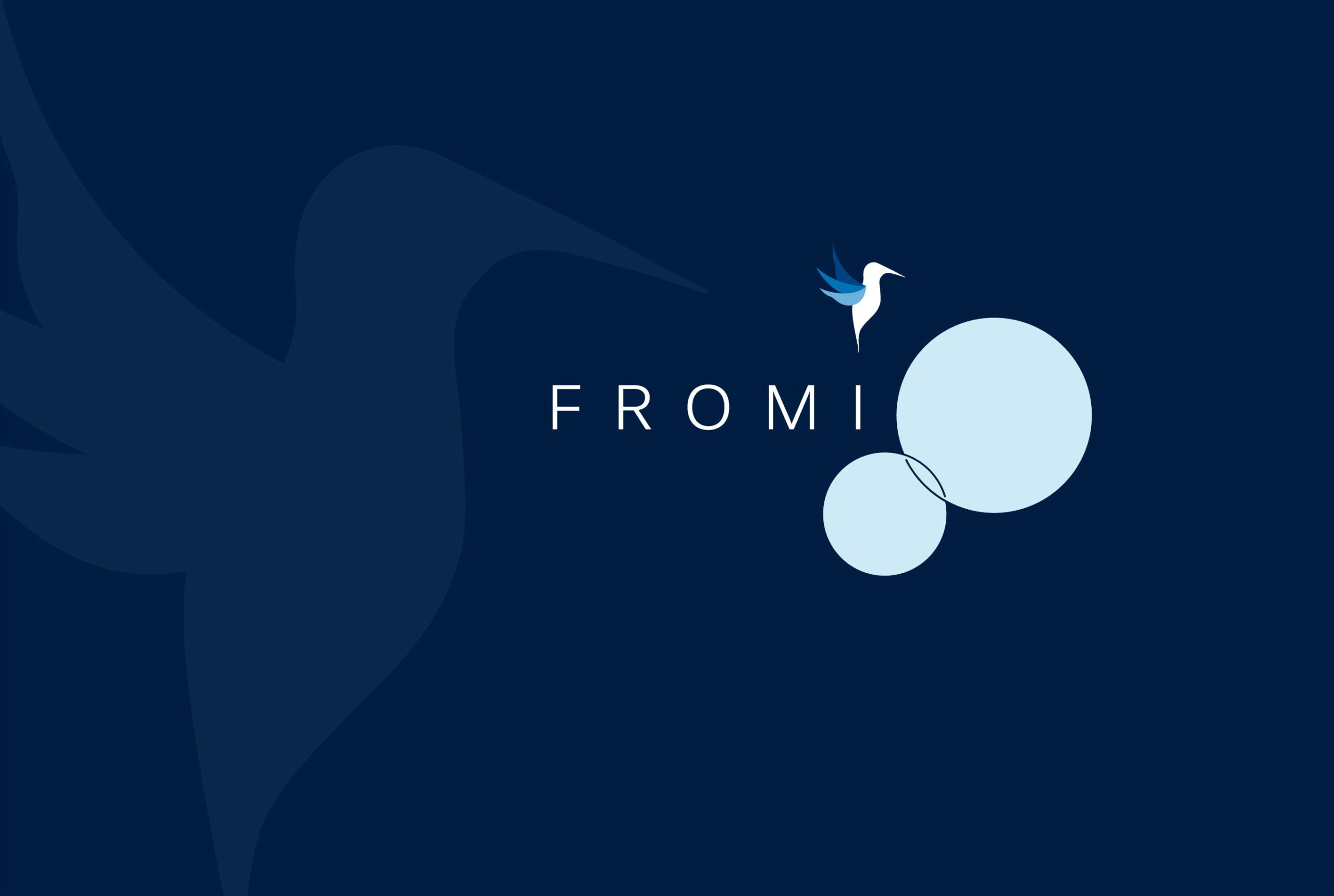 Fond FROMI 4