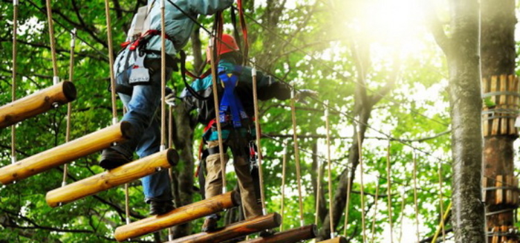 Arb'aventure - Parc Accrobranche Et Lancer De Hache