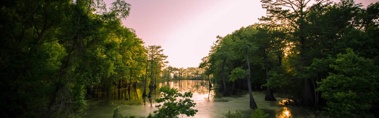 bayou-louisianne-mississippi-marecages-alligators-plantations-une