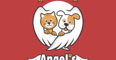 angel-five-star-pet-care-franchise-pet-sitting-walking-logo