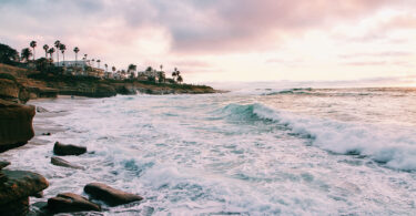 san-diego-artcicle-cdp