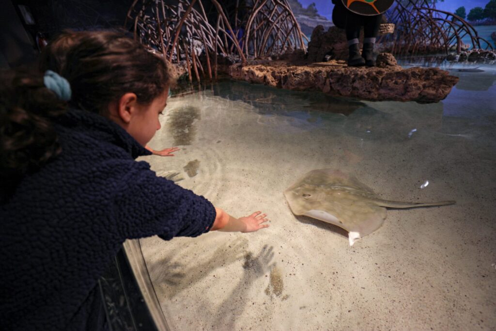 new-england-aquarium-boston-02