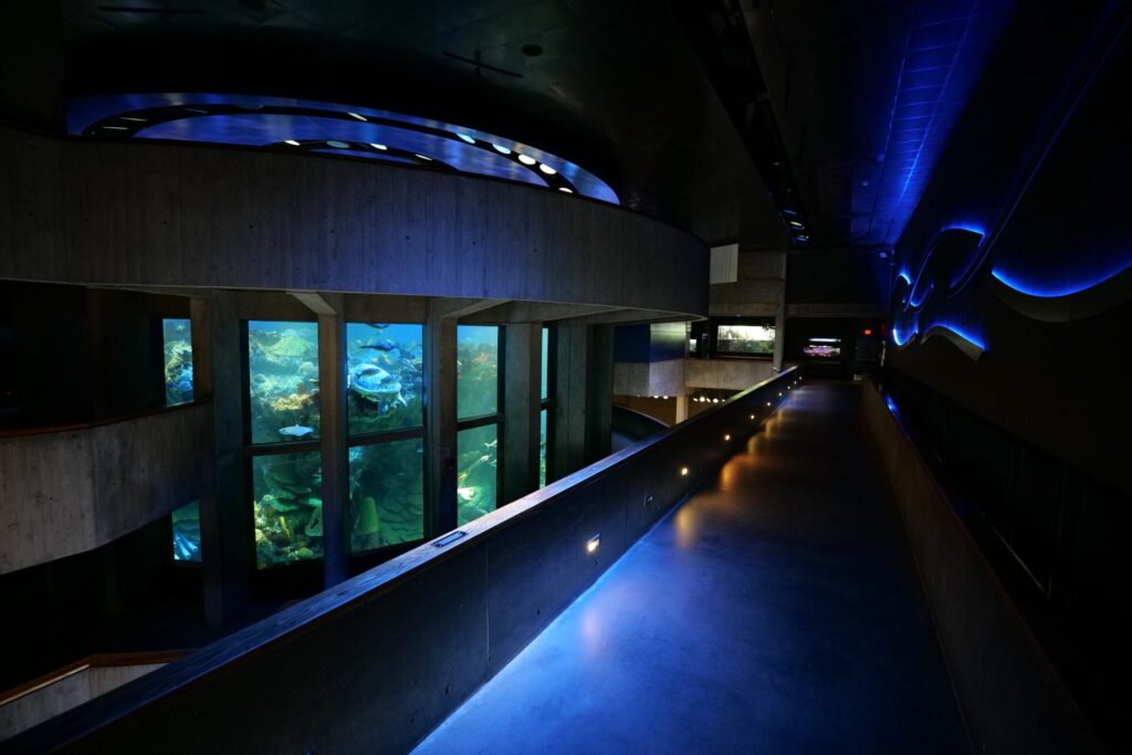 new-england-aquarium-boston-03