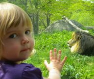 10 sorties en famille à Boston