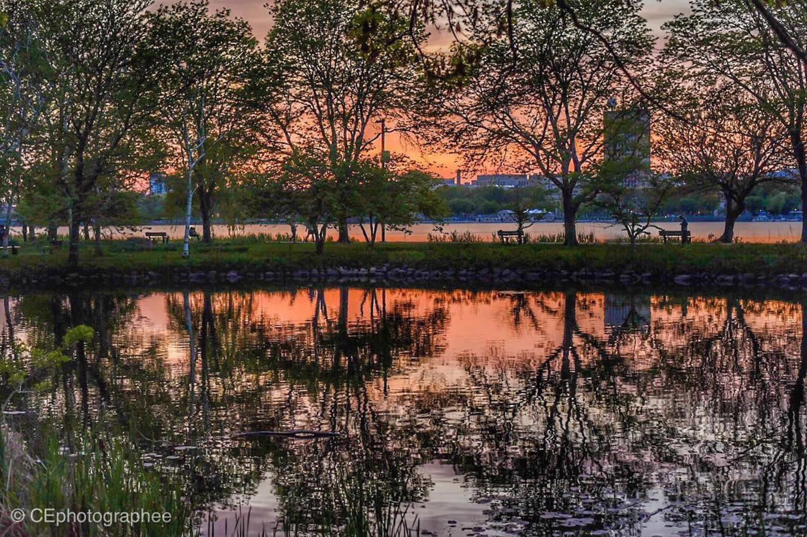 Profiter de la Charles River