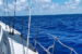 Kiskeedee-Croisiere-Bahamas-Photo-8-French-District
