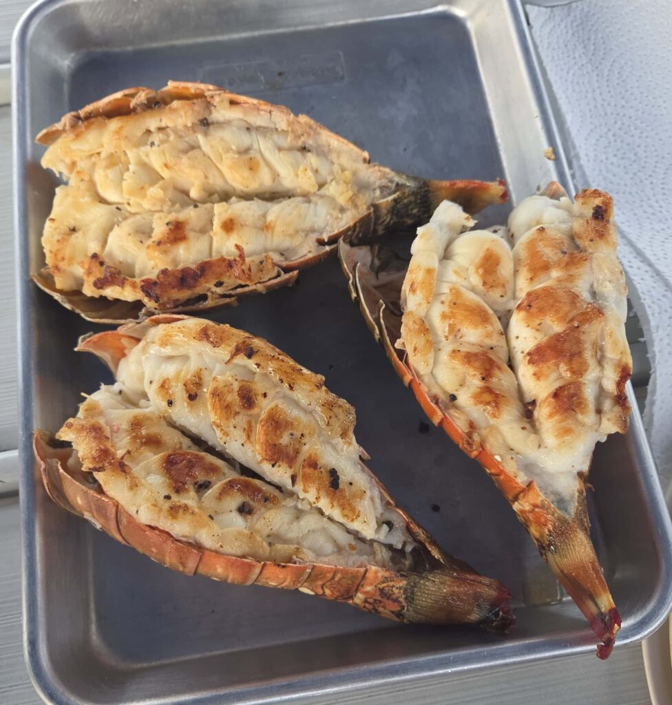 kiskeedee-croisiere-voilier-abacos-bahamas-cuisine-homards