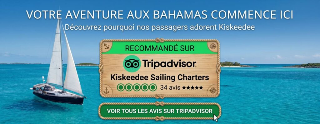 kiskeedee-croisiere-voilier-abacos-bahamas-tripadvisor2