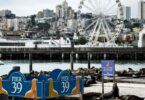 pier-39-san-francisco
