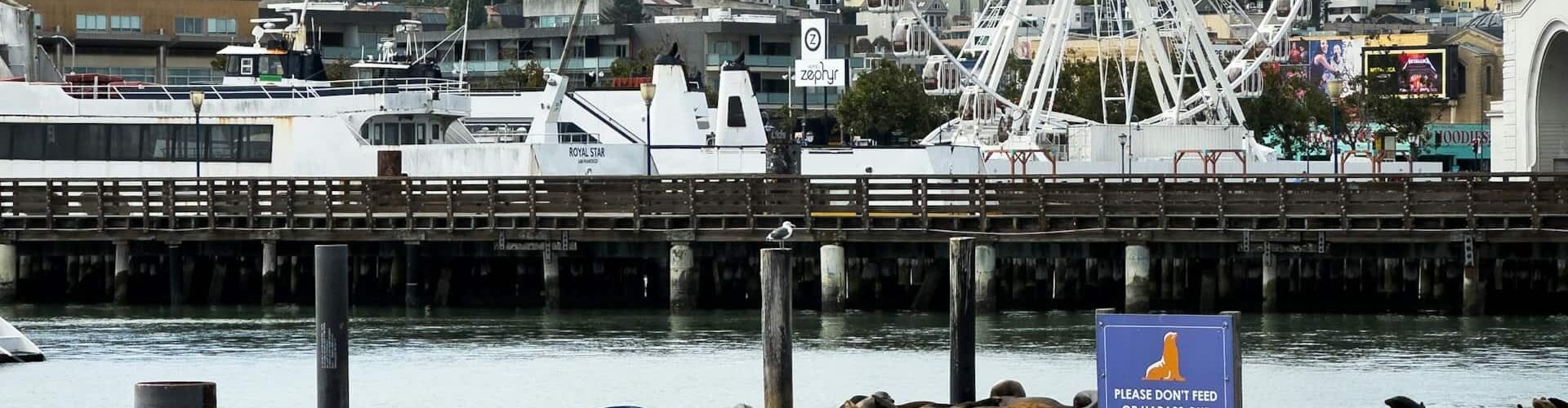 pier-39-san-francisco