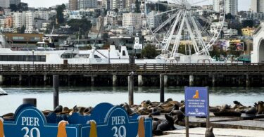 pier-39-san-francisco