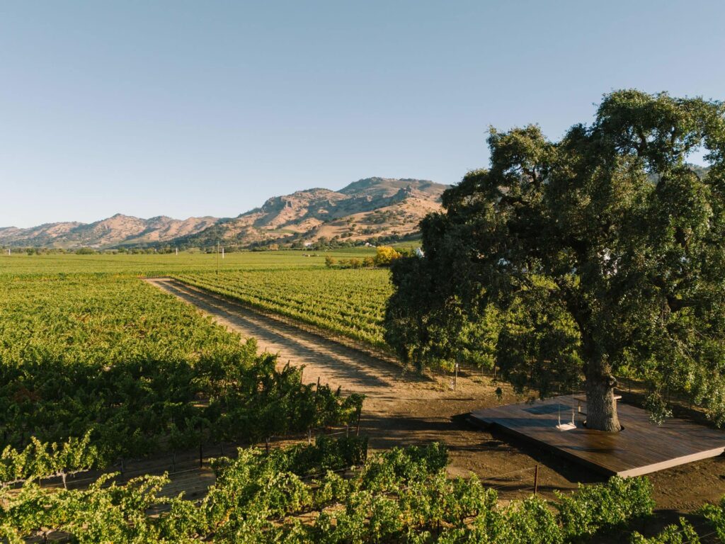 clos-du-val-napa-valley-pique-niquer-domaine-viticole-californie