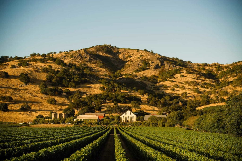 pique-niquer-domaine-viticole-napa-valley-regusci-winery