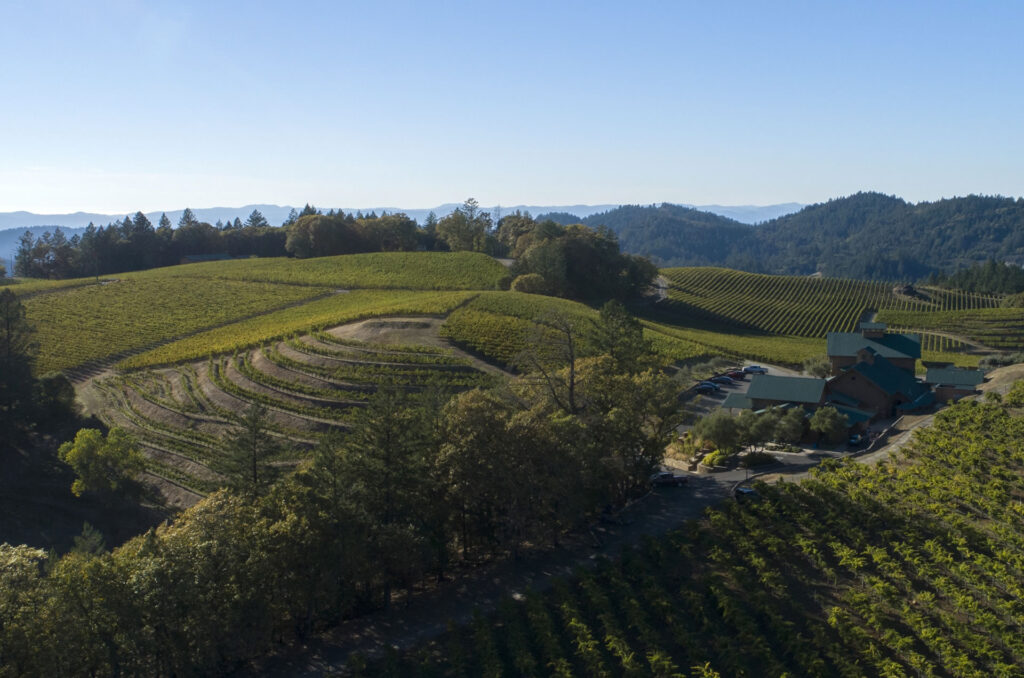 pride-wine-napa-pique-niquer