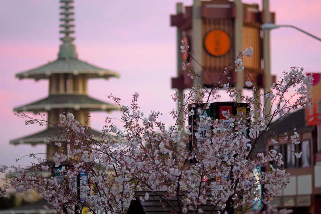 Une journée à Japantown