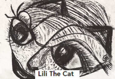 LILI-cat-castiello