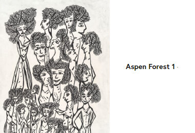 aspen-forest-1-castiello