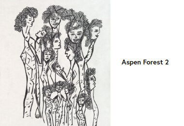 aspen-forest-2-castiello