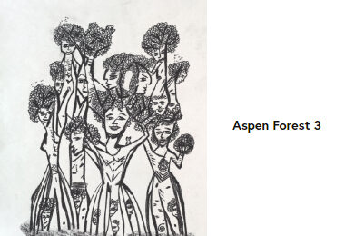 aspen-forest-3-castiello