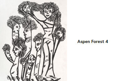 aspen-forest-4-castiello