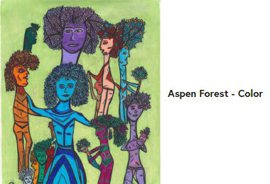 aspen-forest-color-castiello