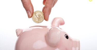 zapptax-application-detaxe-economies-tva-achats-france-2025