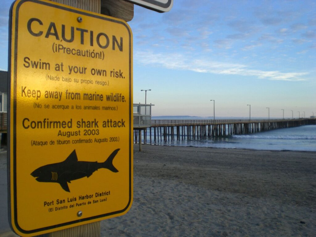 Un panneau d'avertissement sur une plage californienne rappelle aux baigneurs la présence potentielle de requins dans la région