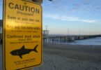 Un panneau d'avertissement sur une plage californienne rappelle aux baigneurs la présence potentielle de requins dans la région