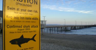 Un panneau d'avertissement sur une plage californienne rappelle aux baigneurs la présence potentielle de requins dans la région