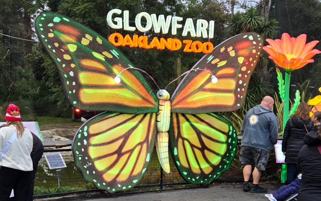 Papillon monarque géant en lanterne lumineuse orange et jaune devant l'enseigne Glowfari Oakland Zoo, avec des visiteurs