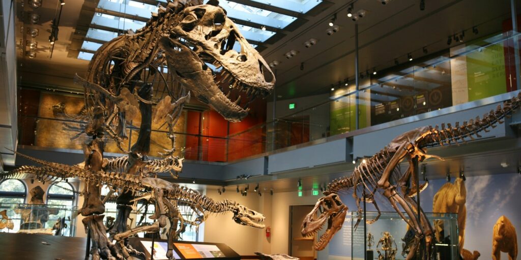 musee-histoire-naturelle-los-angeles-culture-sortie-weekend-visite-02