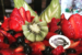 normandie-bakery-boulangerie-bistro-francais-los-angeles-new (14)
