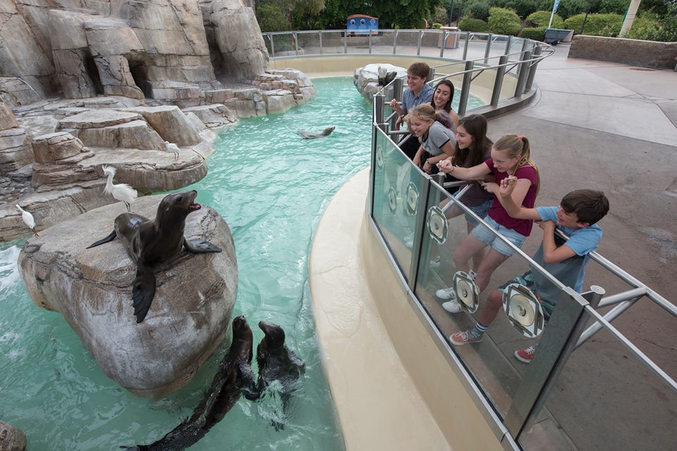 Le SeaWorld de San Diego Visite du parc, Aquarium, Spectacles