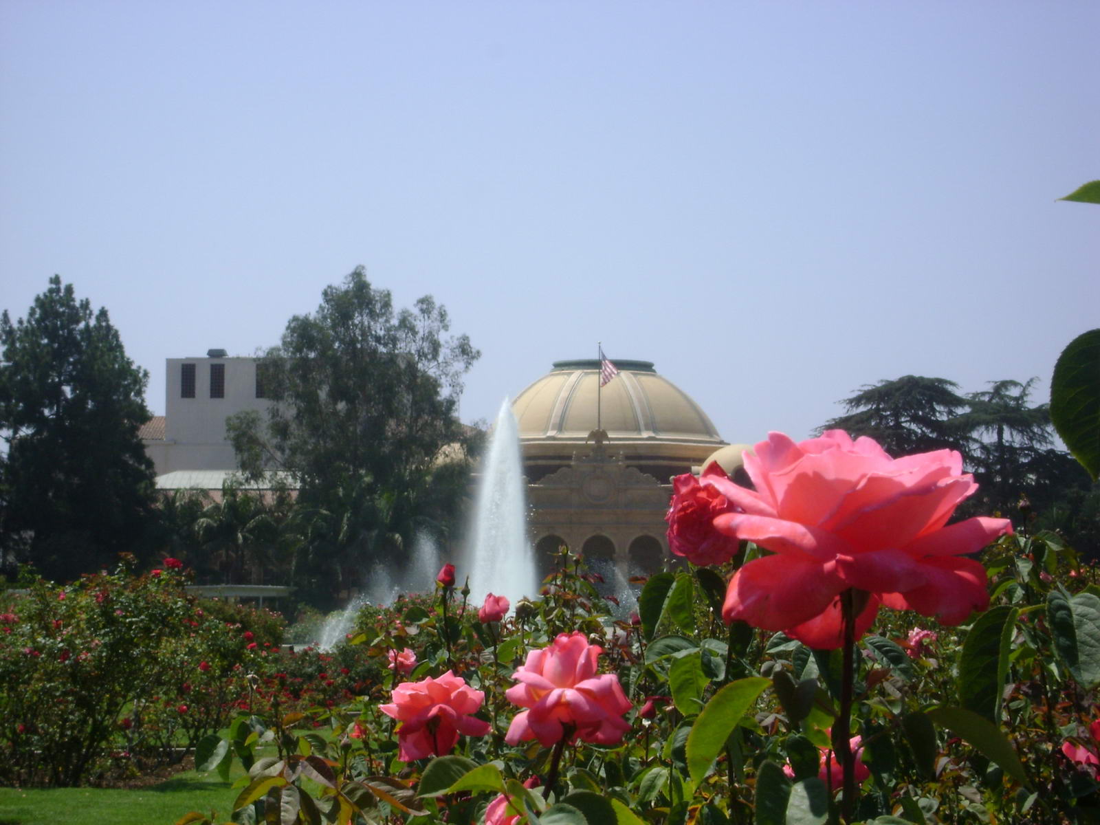 Le Rose Garden de Los Angeles