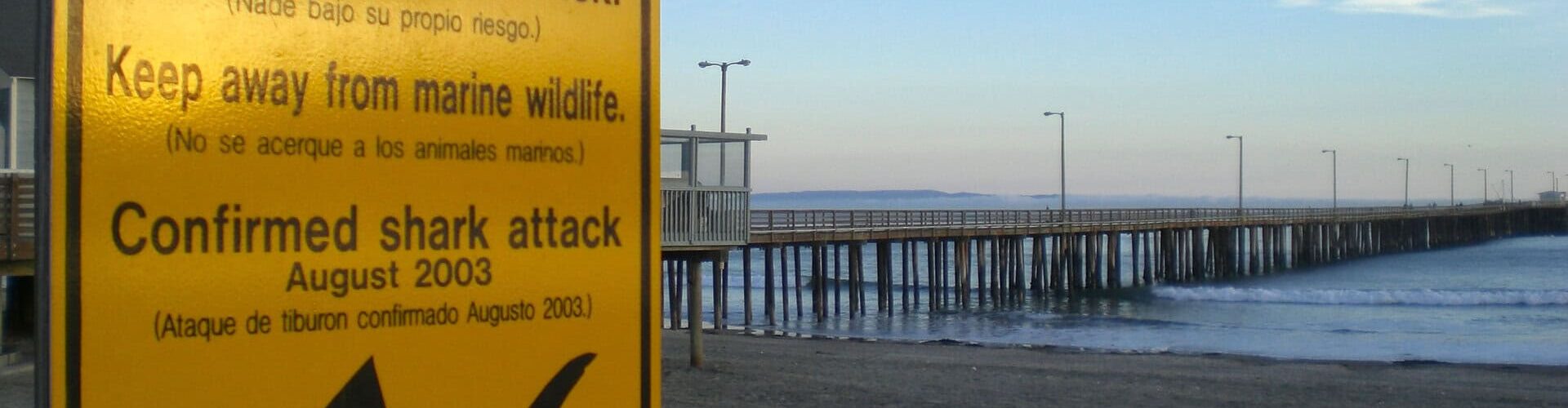 Un panneau d'avertissement sur une plage californienne rappelle aux baigneurs la présence potentielle de requins dans la région