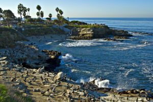 journee-jolla-quartier-san-diego-californie-sud-plage-station-balneaire-pacifique-02