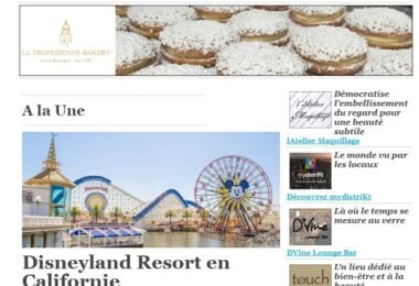 La newsletter French District Boston du Jeudi 2 Février 2017 - Suivez la souris