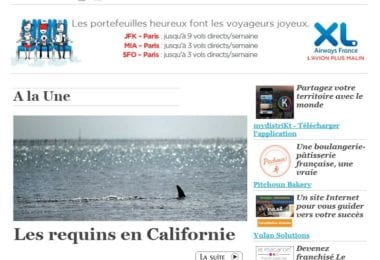 La newsletter French District Boston du Jeudi 28 Mai 2015 - Les requins en Californie