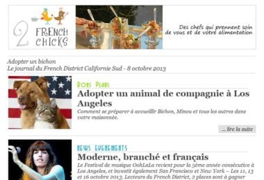 La newsletter French District Boston du Mardi 8 Octobre 2013 - Adopter un bichon
