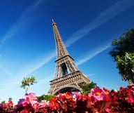 Paris à tout prix 