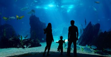 monterey-bay-aquarium-at-california-top
