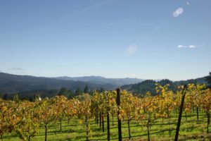 Schramsberg Vineyards – Le vignoble historique