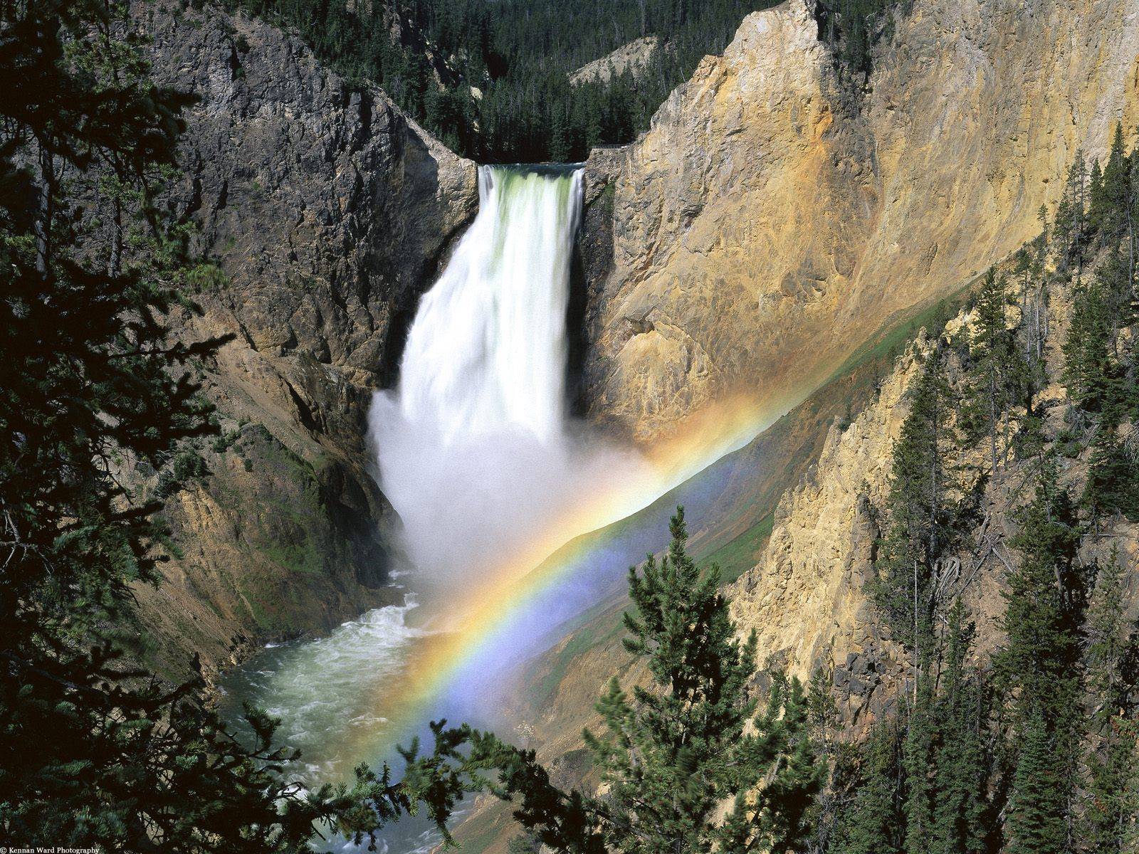 Un weekend dans le parc de Yellowstone