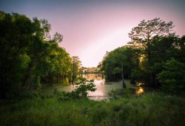 bayou-louisianne-mississippi-marecages-alligators-plantations-une