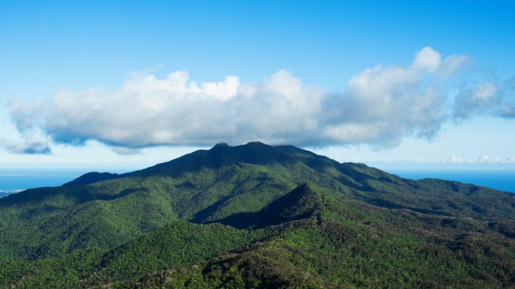 La forêt d’El Yunque à Porto Rico. 