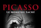 Picasso-V