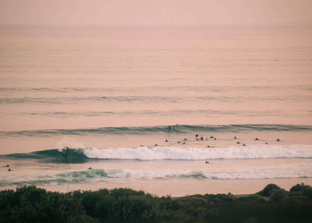 Surfeur en plein virage sur une vague qui déroule vers la droite à Lower Trestles, avec une trentaine de surfeurs au large et des buissons côtiers au premier plan, dans une lumière rose