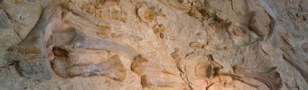 Dinosaur National Monument dans le Colorado