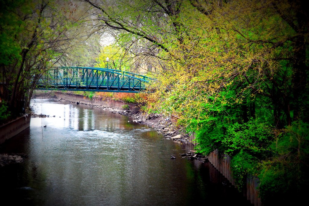 Savourer le monde à Albany Park Chicago